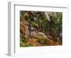 The Rocks in the Park of the Chateau Noir, 1898-1899-Paul Cézanne-Framed Giclee Print