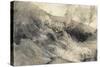 The Rocky Bank of a River - Verso: Sketch of Foliage, C.1853-John Ruskin-Stretched Canvas
