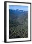 The Rocky Cliffs of the Blue Mountains, New South Wales, Australia, Pacific-Michael Runkel-Framed Photographic Print