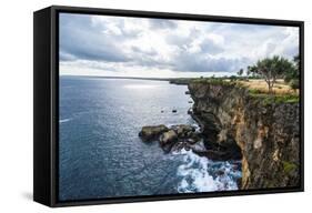 The Rocky Coast around Ha'Ateiho, Tongatapu, Tonga, South Pacific, Pacific-Michael Runkel-Framed Stretched Canvas