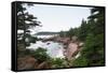 The Rocky Coast of Maine-tempestz-Framed Stretched Canvas