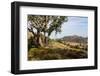 The rocky countryside outside of the village of Relva, Portugal-Mark A Johnson-Framed Photographic Print