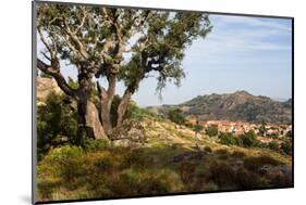 The rocky countryside outside of the village of Relva, Portugal-Mark A Johnson-Mounted Photographic Print