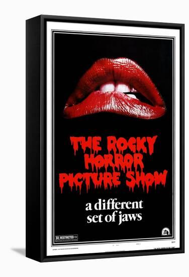 The Rocky Horror Picture Show, 1975-null-Framed Stretched Canvas