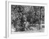 The Roding at Wanstead-null-Framed Photographic Print