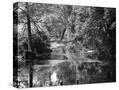 Stretched Canvas