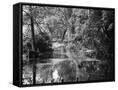 Canvas Black