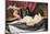 The Rokeby Venus-Diego Velazquez-Mounted Art Print