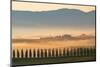 The Rolling Hills and Green Fields at Sunrise, Tuscany, Italy-lkunl-Mounted Photographic Print