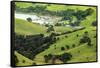 The Rolling Hills of the Coromandel Peninsula on the North Island of New Zealand-Paul Dymond-Framed Stretched Canvas