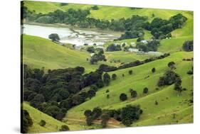 The Rolling Hills of the Coromandel Peninsula on the North Island of New Zealand-Paul Dymond-Stretched Canvas