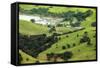 The Rolling Hills of the Coromandel Peninsula on the North Island of New Zealand-Paul Dymond-Framed Stretched Canvas