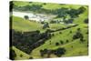 The Rolling Hills of the Coromandel Peninsula on the North Island of New Zealand-Paul Dymond-Stretched Canvas