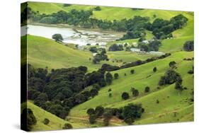 The Rolling Hills of the Coromandel Peninsula on the North Island of New Zealand-Paul Dymond-Stretched Canvas