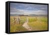 The Rolling Hills of the South Downs National Park Near Brighton-Julian Elliott-Framed Stretched Canvas