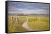 The Rolling Hills of the South Downs National Park Near Brighton-Julian Elliott-Framed Stretched Canvas