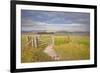 The Rolling Hills of the South Downs National Park Near Brighton-Julian Elliott-Framed Photographic Print