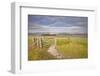 The Rolling Hills of the South Downs National Park Near Brighton-Julian Elliott-Framed Photographic Print