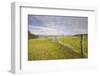 The Rolling Hills of the South Downs National Park Near Brighton-Julian Elliott-Framed Photographic Print