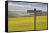 The Rolling Hills of the South Downs National Park Near to Brighton, Sussex, England, UK-Julian Elliott-Framed Stretched Canvas