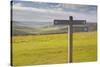 The Rolling Hills of the South Downs National Park Near to Brighton, Sussex, England, UK-Julian Elliott-Stretched Canvas