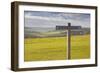 The Rolling Hills of the South Downs National Park Near to Brighton, Sussex, England, UK-Julian Elliott-Framed Photographic Print