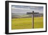 The Rolling Hills of the South Downs National Park Near to Brighton, Sussex, England, UK-Julian Elliott-Framed Photographic Print