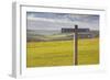 The Rolling Hills of the South Downs National Park Near to Brighton, Sussex, England, UK-Julian Elliott-Framed Photographic Print