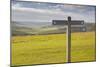 The Rolling Hills of the South Downs National Park Near to Brighton, Sussex, England, UK-Julian Elliott-Mounted Photographic Print