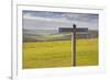 The Rolling Hills of the South Downs National Park Near to Brighton, Sussex, England, UK-Julian Elliott-Framed Photographic Print