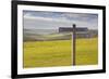 The Rolling Hills of the South Downs National Park Near to Brighton, Sussex, England, UK-Julian Elliott-Framed Photographic Print