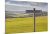 The Rolling Hills of the South Downs National Park Near to Brighton, Sussex, England, UK-Julian Elliott-Mounted Photographic Print