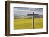 The Rolling Hills of the South Downs National Park Near to Brighton, Sussex, England, UK-Julian Elliott-Framed Photographic Print