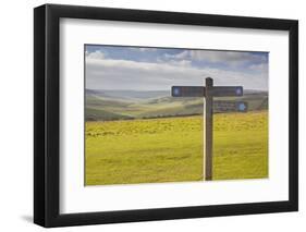 The Rolling Hills of the South Downs National Park Near to Brighton, Sussex, England, UK-Julian Elliott-Framed Photographic Print