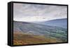 The Rolling Hills of the Yorkshire Dales National Park Near Dentdale-Julian Elliott-Framed Stretched Canvas