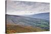 The Rolling Hills of the Yorkshire Dales National Park Near Dentdale-Julian Elliott-Stretched Canvas