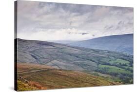 The Rolling Hills of the Yorkshire Dales National Park Near Dentdale-Julian Elliott-Stretched Canvas