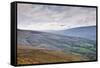 The Rolling Hills of the Yorkshire Dales National Park Near Dentdale-Julian Elliott-Framed Stretched Canvas