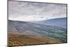 The Rolling Hills of the Yorkshire Dales National Park Near Dentdale-Julian Elliott-Mounted Photographic Print