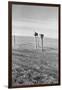 The Rolling Lands-Dorothea Lange-Framed Art Print