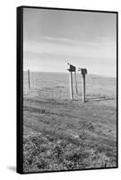 The Rolling Lands-Dorothea Lange-Framed Stretched Canvas