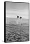 The Rolling Lands-Dorothea Lange-Framed Stretched Canvas