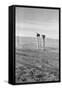 The Rolling Lands-Dorothea Lange-Framed Stretched Canvas