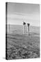 The Rolling Lands-Dorothea Lange-Stretched Canvas