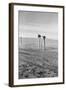 The Rolling Lands-Dorothea Lange-Framed Art Print