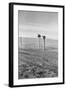 The Rolling Lands-Dorothea Lange-Framed Art Print