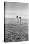 The Rolling Lands-Dorothea Lange-Stretched Canvas