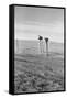 The Rolling Lands-Dorothea Lange-Framed Stretched Canvas