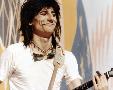 Just the Print