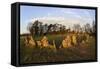 The Rollright Stones, a Bronze Age Stone Circle, Chipping Norton, Oxfordshire, Cotswolds, England-Stuart Black-Framed Stretched Canvas